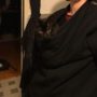 IMG_20220127_192531