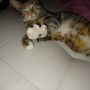 image000003(8)