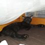 IMG-20220831-WA0021