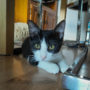 IMG-20220922-WA0004