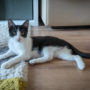 IMG-20220922-WA0005