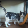 IMG-20220922-WA0006