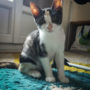IMG-20220922-WA0007