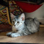 IMG-20220922-WA0008