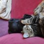 IMG_20220921_113034