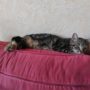 IMG_20220921_134115