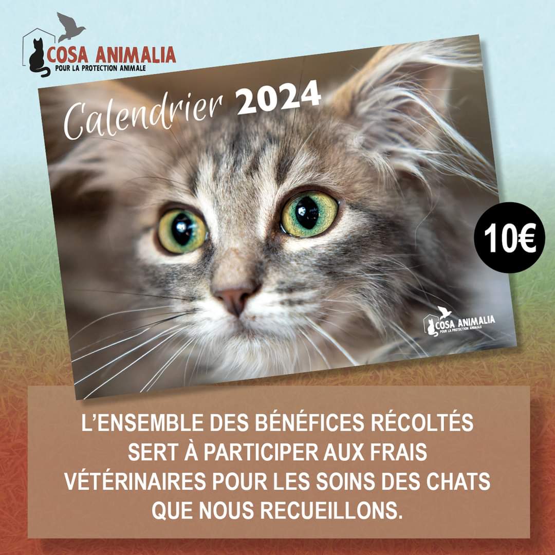 Le calendrier 2024 est disponible - Cosa Animalia