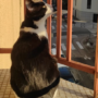 image (6)