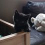 IMG-20220925-WA0001