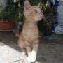 IMG_20220624_143406