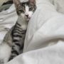 IMG_20220822_082738